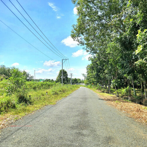 1.000m² Tại Thanh An, Hớn Quản – Lô BPHQ-002