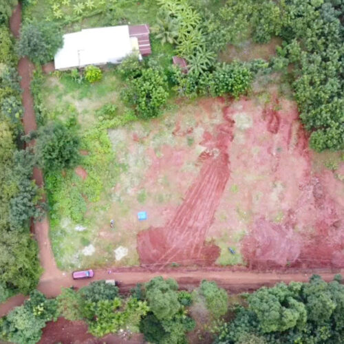 250m² Đất Đẹp Tân Hưng: Vị Trí Khiến Nhà Đầu Tư Phải Hỏi Có Còn Lô Thứ Hai Không? Lô BPHQ-008