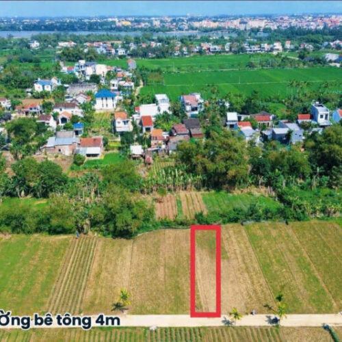 ĐNHA - 001